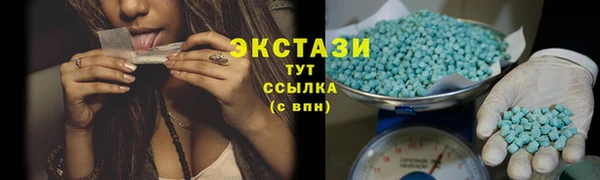 трава Сясьстрой