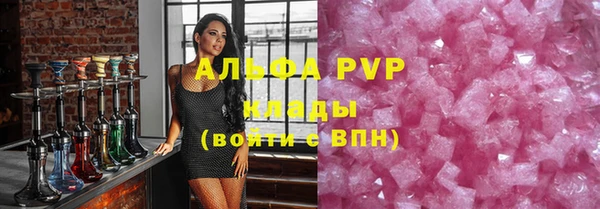 трава Сясьстрой