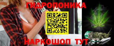 прущие грибы Гусь-Хрустальный