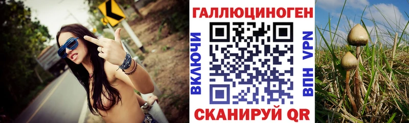 продажа наркотиков  Рузаевка  Галлюциногенные грибы Psilocybe 