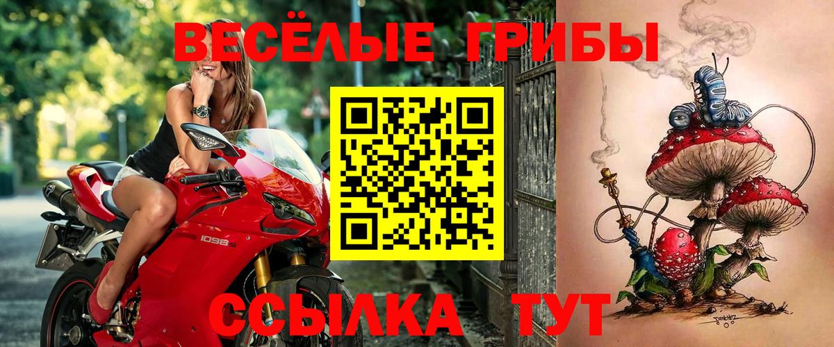 Псилоцибиновые грибы прущие грибы  Вход с VPN  наркотики  Рузаевка 