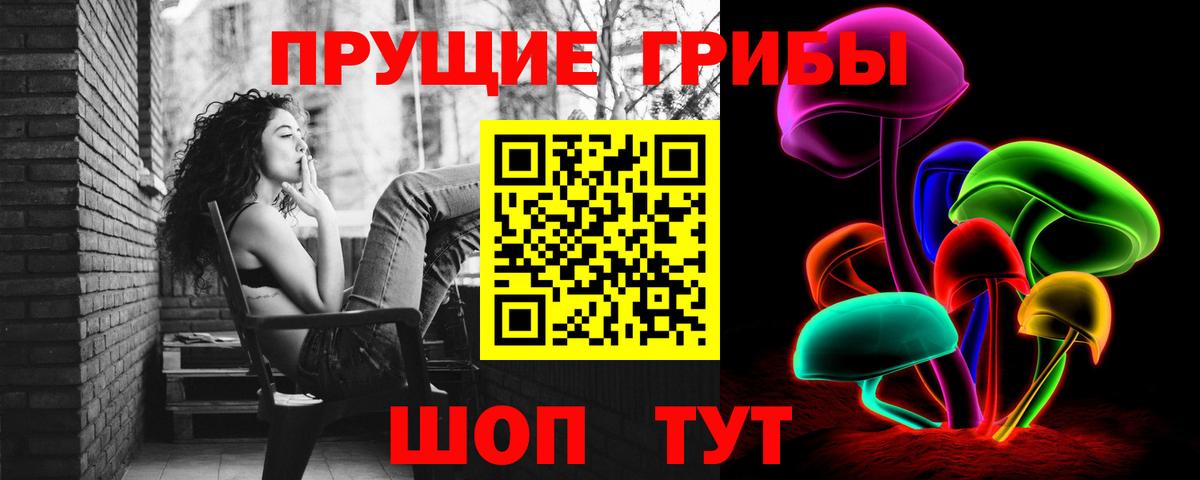 Псилоцибиновые грибы Psilocybine cubensis Рузаевка